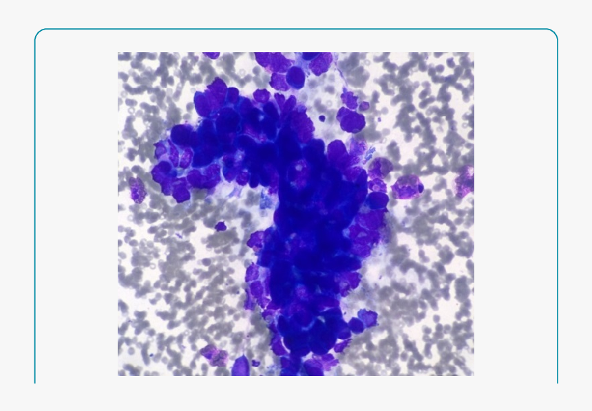 Number, HD Png Download, Free Download