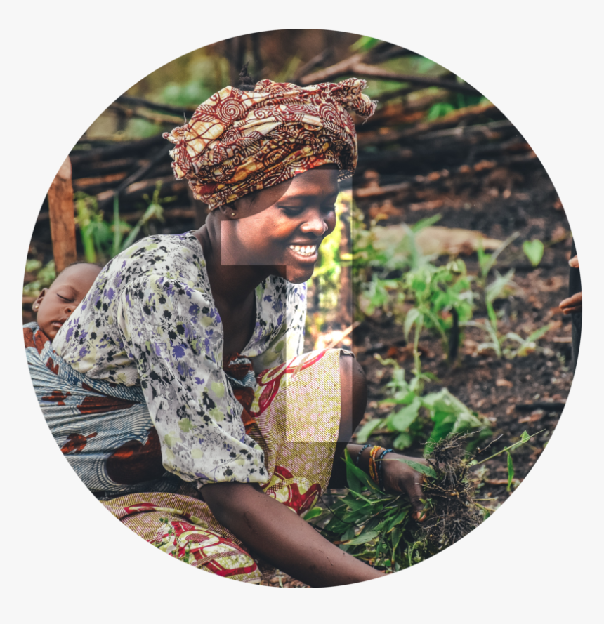 International Day Of Rural Women 2019, HD Png Download, Free Download