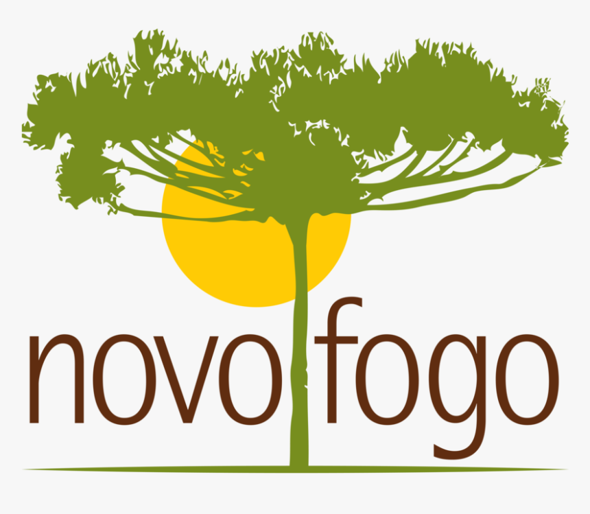 Novo Fogo Logo, HD Png Download - kindpng