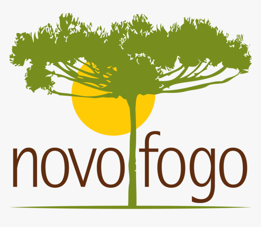 Novo Fogo Logo, HD Png Download, Free Download