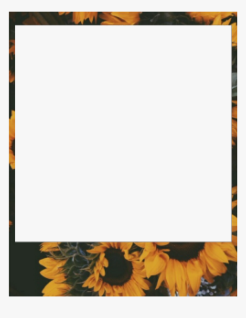 #girasol #yellow #amarillo #tumblr #marco #polaroid - Aesthetic Polaroid Picture Frame, HD Png Download, Free Download
