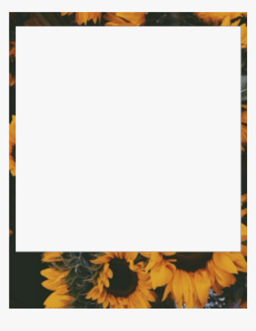 #girasol #yellow #amarillo #tumblr #marco #polaroid - Aesthetic ...