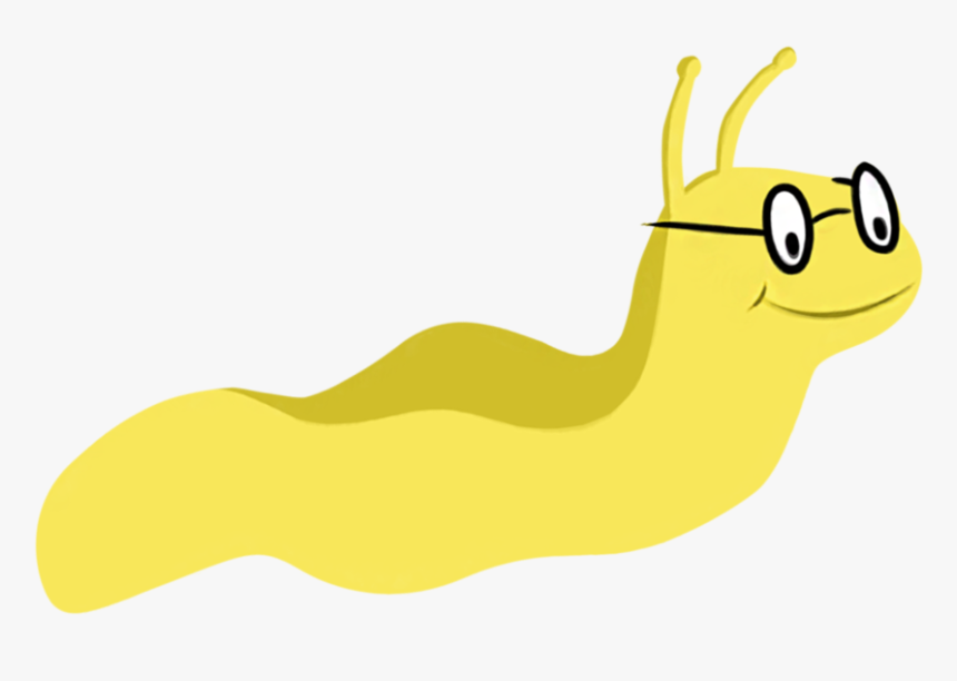 Banana Slug Clipart - Banana Slug Clip Art, HD Png Download, Free Download