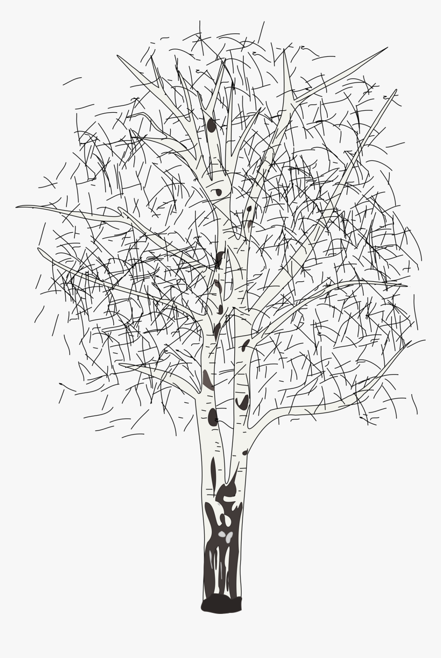 Leafless Birch Clip Arts - Birch Winter Tree Clipart, HD Png Download, Free Download