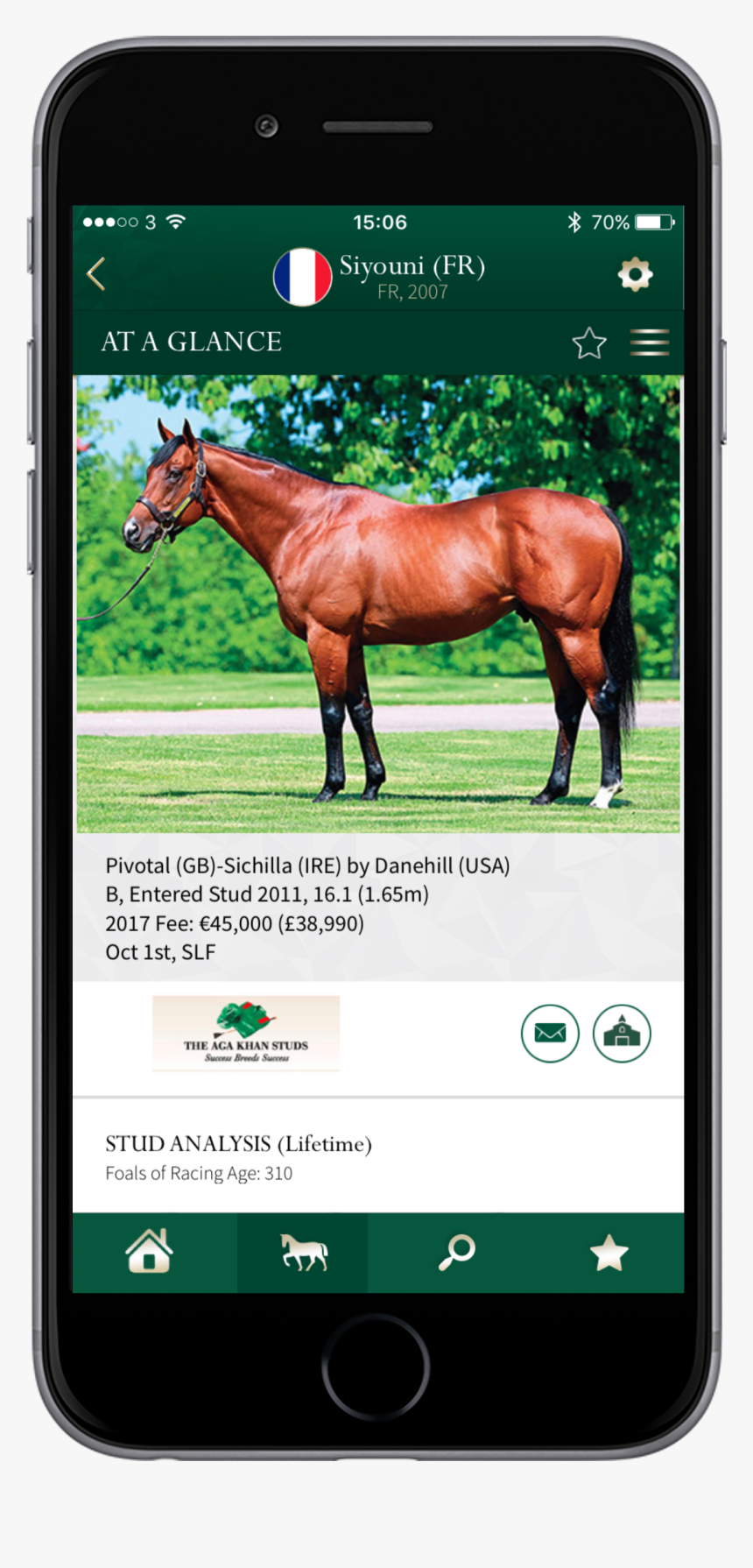 The App Will Help Breeders To Match Their Mares To - Stallion, HD Png Download, Free Download