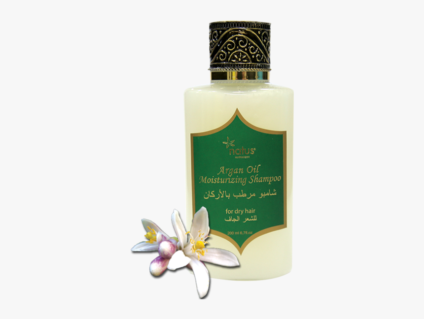 Jasmine, HD Png Download, Free Download