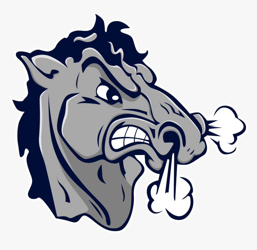 Stallions Baseball, HD Png Download, Free Download