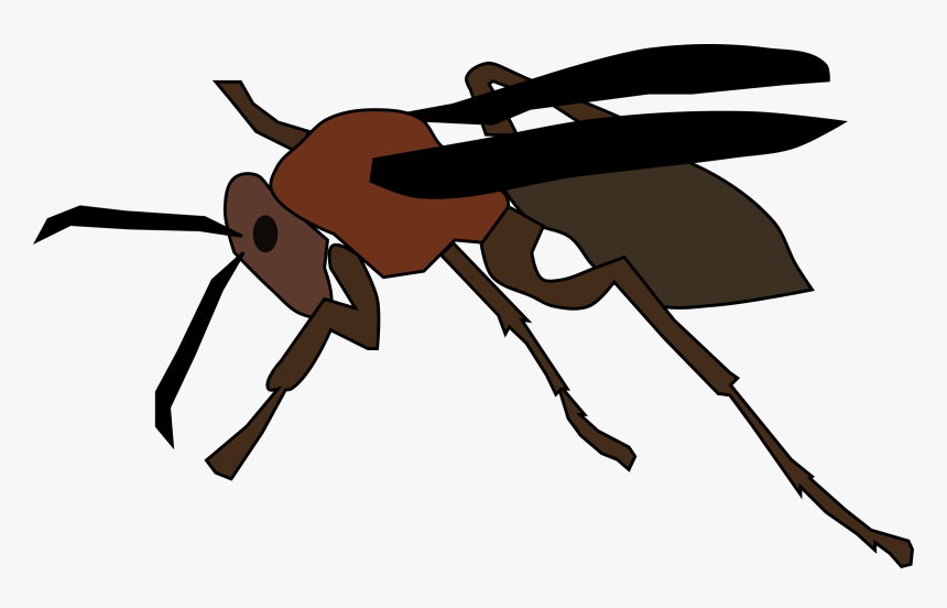 Cartoon Paper Wasp , Png Download - Paper Wasp Cartoon, Transparent Png, Free Download