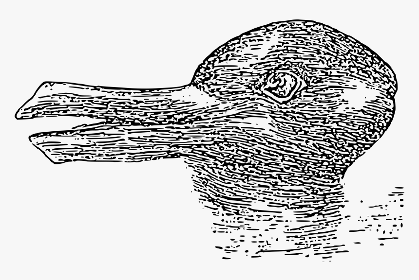 Duck-rabbit Illusion Clip Arts - Duck Rabbit Illusion Png, Transparent Png, Free Download