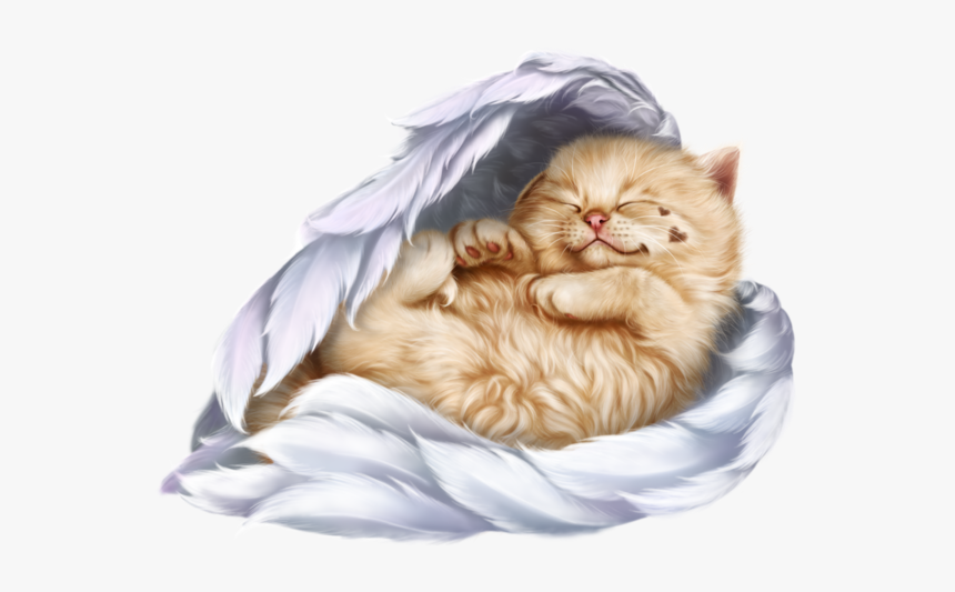 Persian Cat Clipart Gato - Cute Good Night Love You, HD Png Download, Free Download
