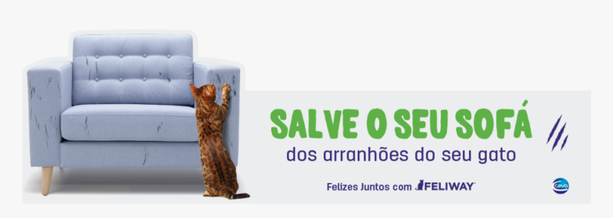 Feliscratch Topo - Studio Couch, HD Png Download, Free Download