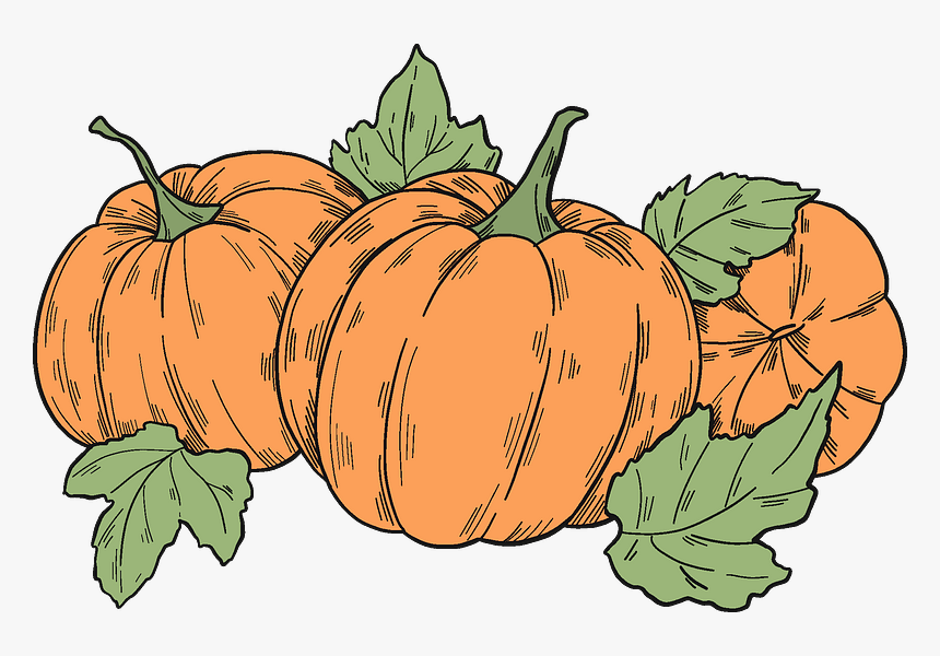 Pumpkin Patch Clipart - Pumpkin, HD Png Download, Free Download