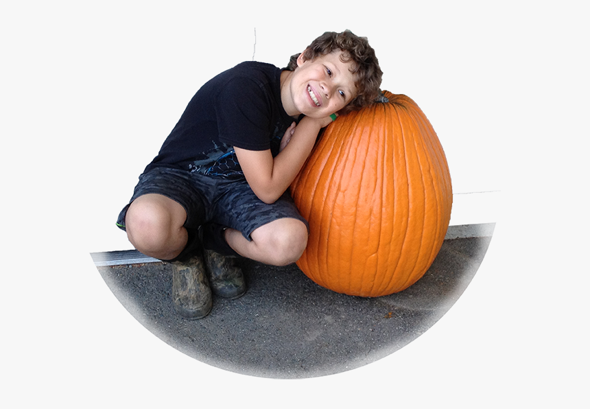 Pumpkin-s - Sitting, HD Png Download, Free Download