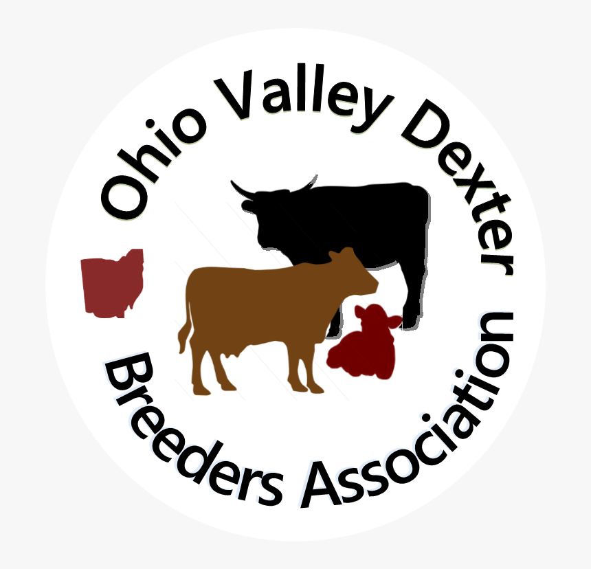 Picture - Dairy, HD Png Download, Free Download