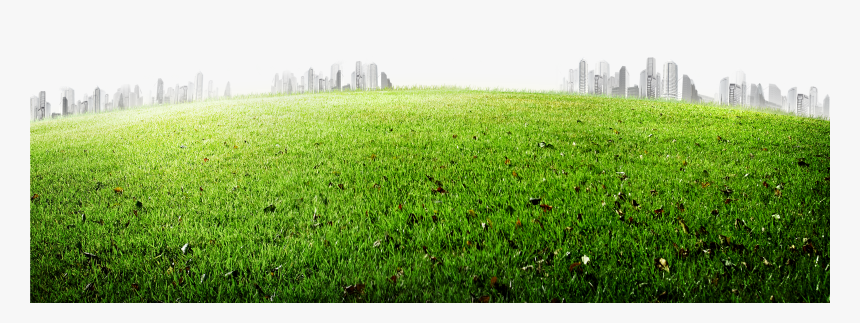 Meadow 5200*3458 Transprent Png Free Download , Png, Transparent Png, Free Download