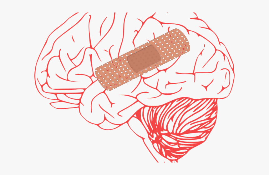 Damage Cliparts - Brain And Spinal Cord Png, Transparent Png, Free Download