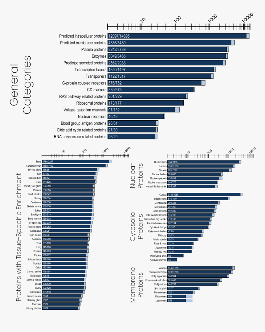 Covid 19 Bar Chart, HD Png Download, Free Download