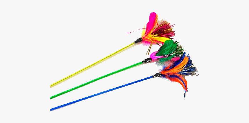 Feather, HD Png Download, Free Download