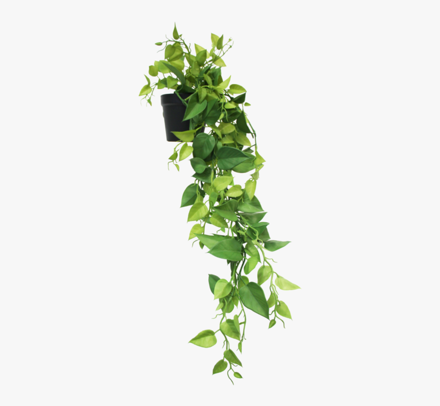 Herb, HD Png Download, Free Download