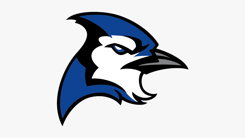 Blue Jay, HD Png Download, Free Download