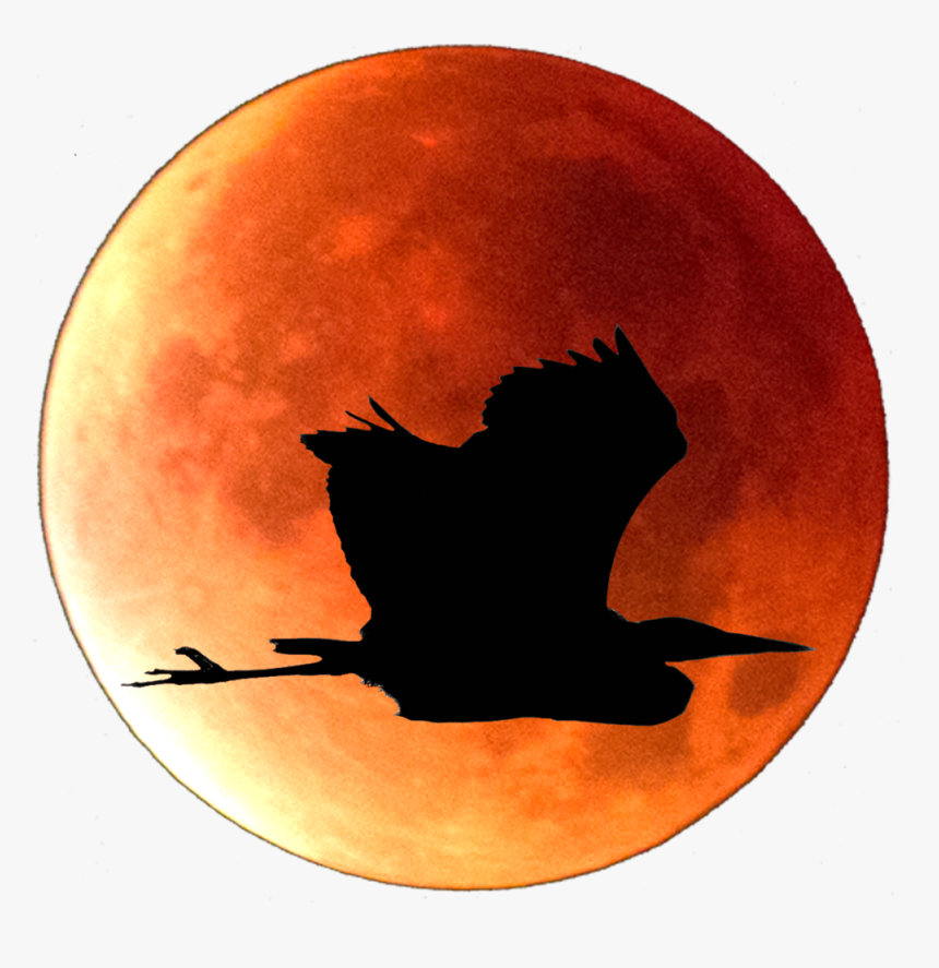 Red Moon Png , Png Download - Circle, Transparent Png, Free Download