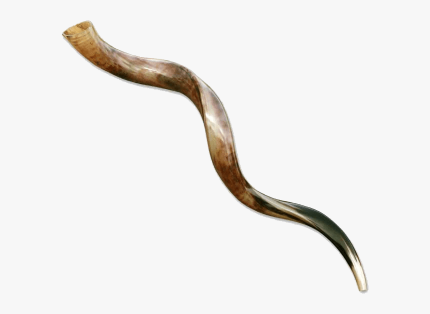 Shofar Yemenite Jambo 65, HD Png Download, Free Download