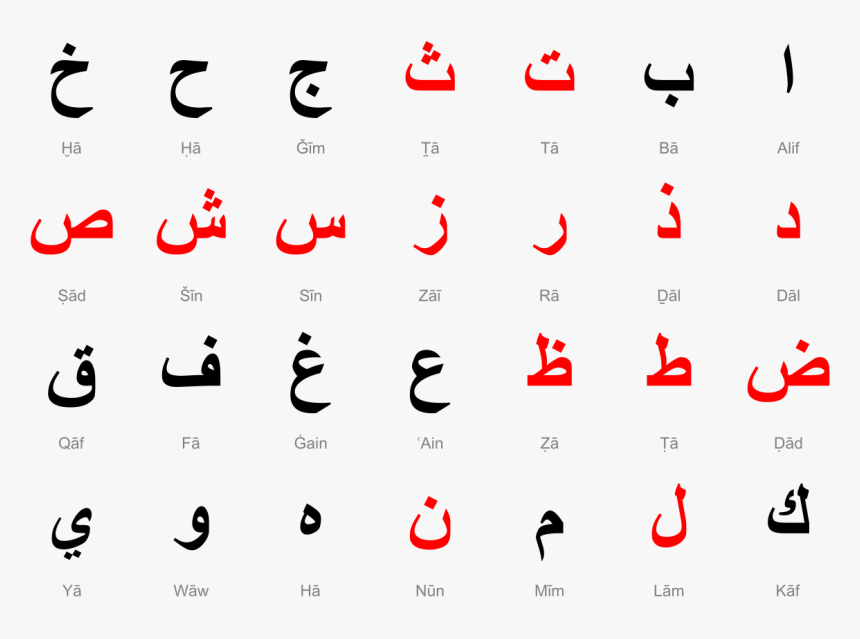 Arabic Alphabet Copy And Paste, HD Png Download, Free Download