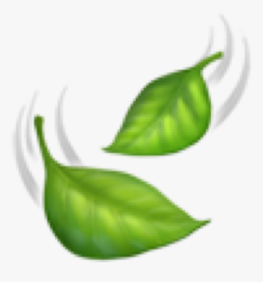 #emoji #iphoneemoji #green #leaf #leaves #foglia #foglie - Illustration, HD Png Download, Free Download