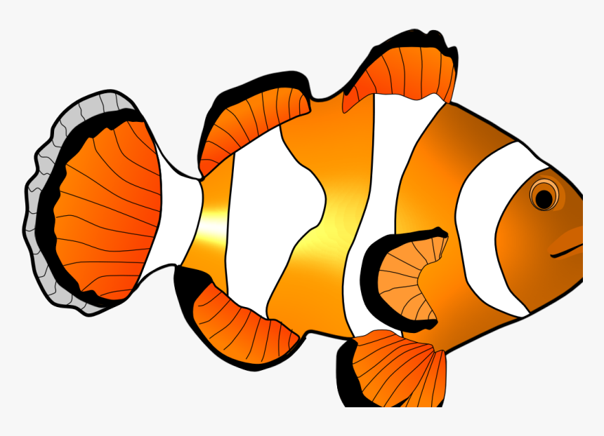 Home Images Clown Fish Clip Art Clown Fish Clip Art - Coral Reef Fish, HD Png Download, Free Download