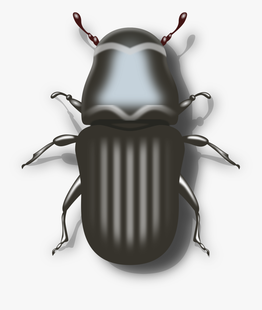 Biker Vector Motorcycle Clipart - Mountain Pine Beetle Drawing, HD Png Download, Free Download