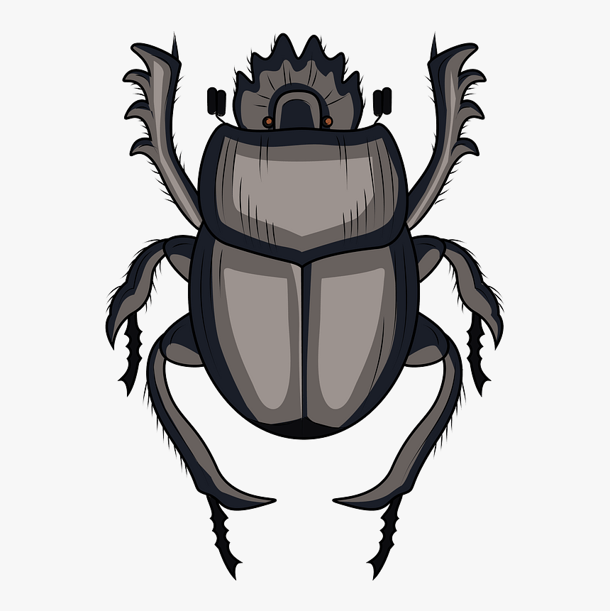 Scarabaeus Dung Beetle Clipart - Dung Beetle Clip Art, HD Png Download, Free Download