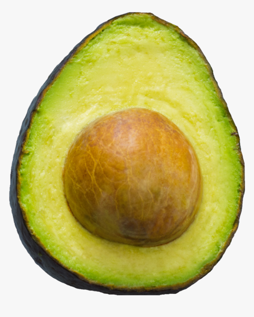 Avocado , Png Download - Avocado, Transparent Png, Free Download