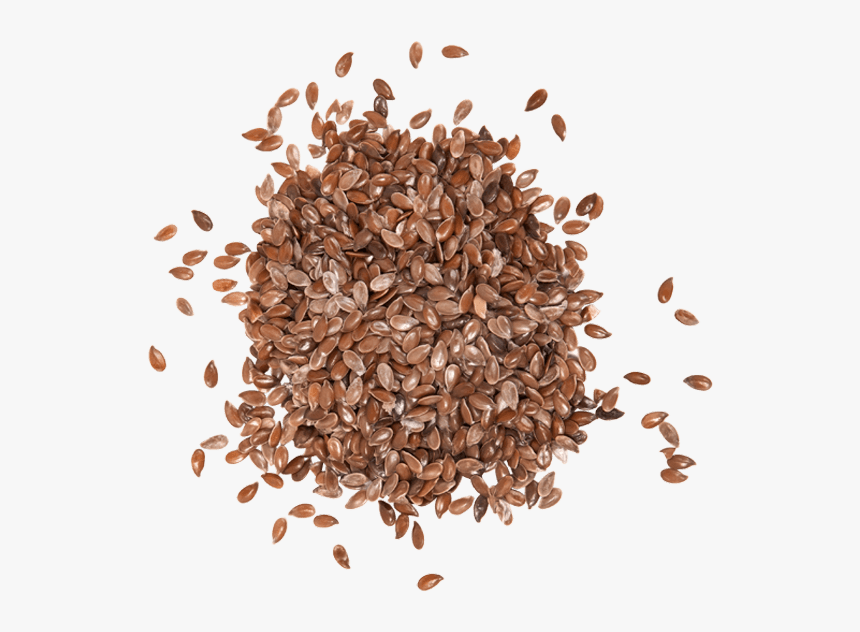 Transparent Seed Png - Aunt Jackie's Flaxseed And Monoi, Png Download, Free Download