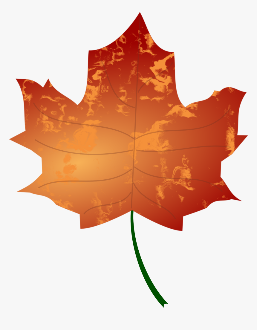 Transparent Leaf Clip Art - Autumn Leaves Vector Png, Png Download, Free Download