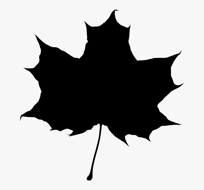 Maple, Autumn, Fall, Leaf, Nature - Maple Leaf Silhouette Png, Transparent Png, Free Download