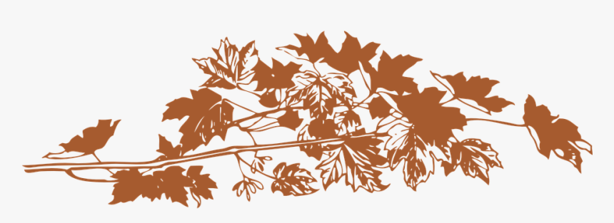 Foliage, Autumn, Fall, Leaves, Brown - Transparent Fall Leaves Branch, HD Png Download, Free Download