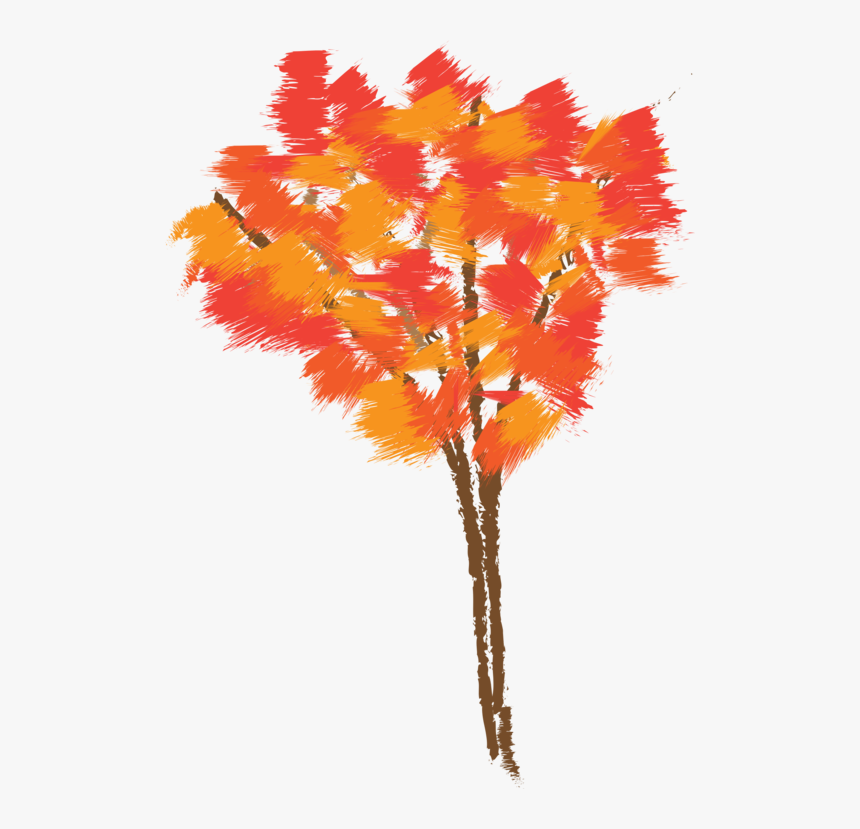 Autumn,plant,leaf - Fall Tree Drawing Colored, HD Png Download, Free Download