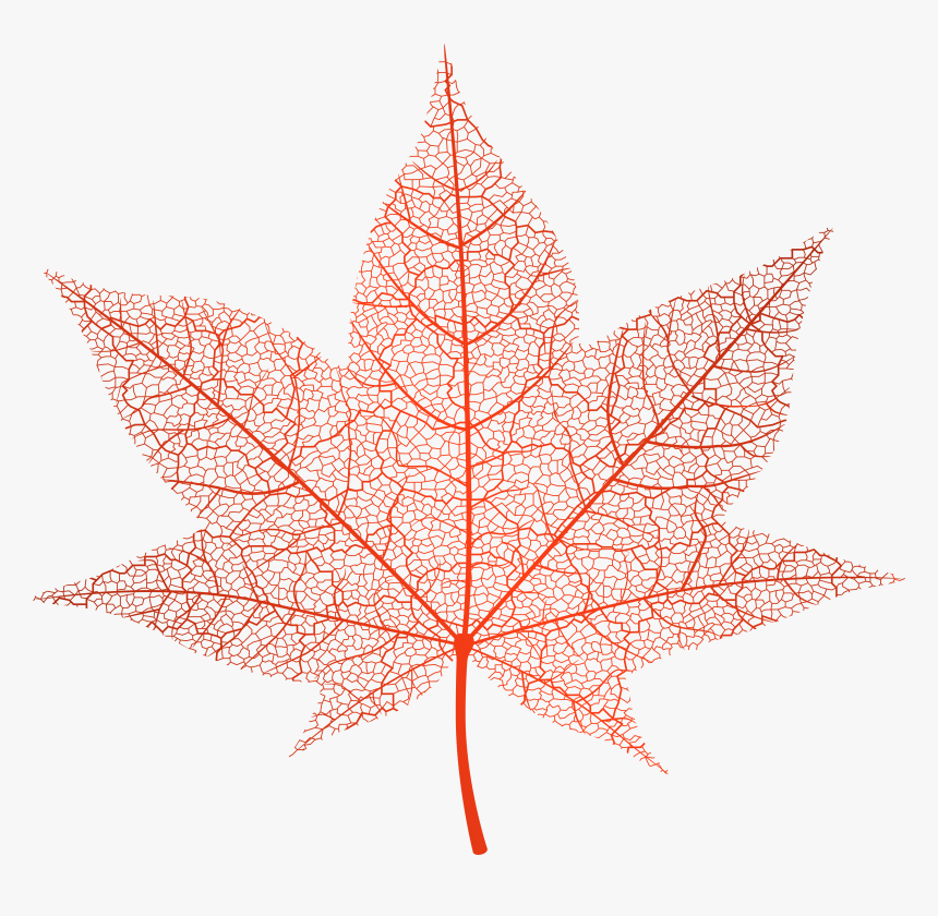 Transparent Red Autumn Leaf Png Clip Art Image - Transparent Autumn Leaves, Png Download, Free Download