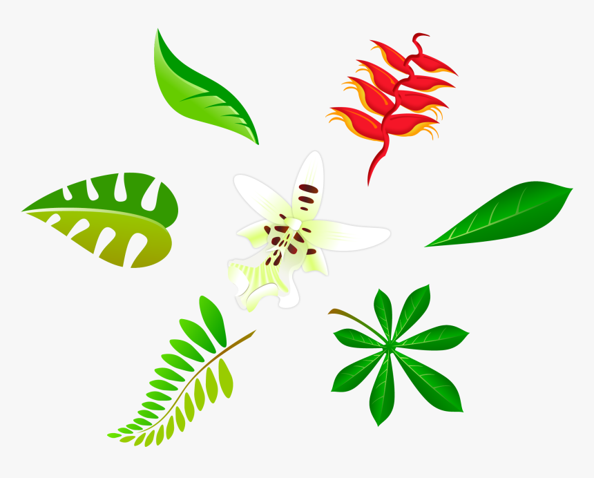 Vector S Leaf - Leaf Vector, HD Png Download, Free Download