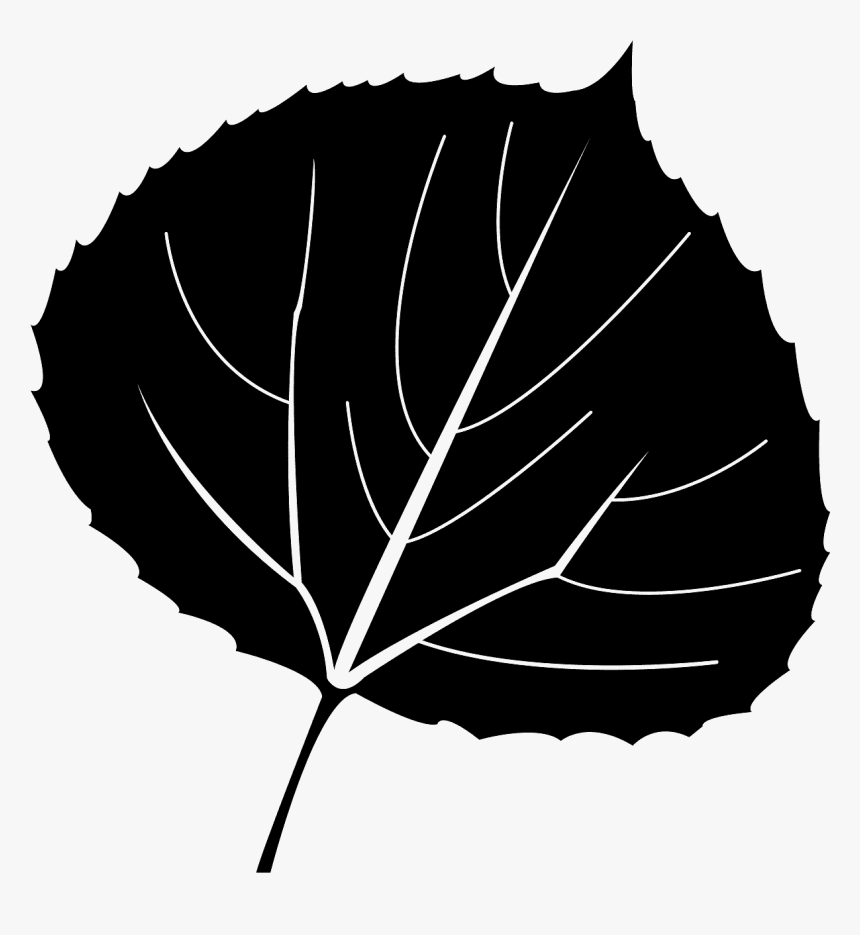 Clipart Aspen Leaves Png, Transparent Png, Free Download