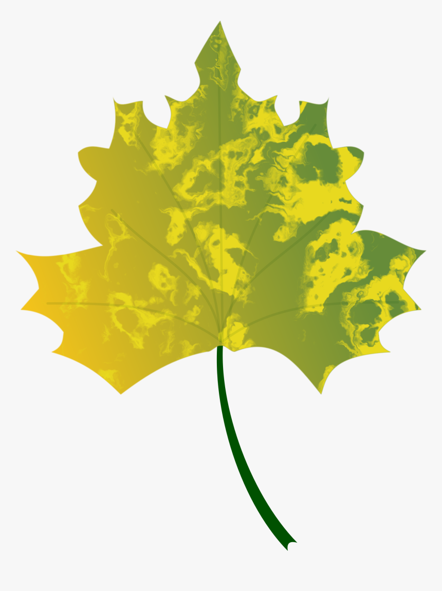 Plant,flora,leaf - Fall Leaves Logo Vector, HD Png Download, Free Download