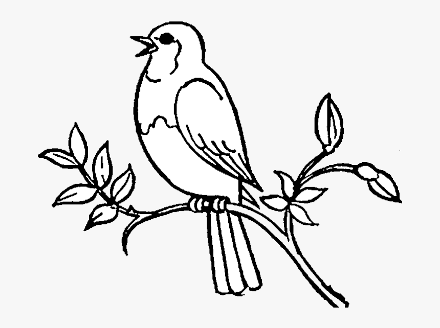 Bird Birds Clipart Black And White Free Best Transparent - Singing Bird