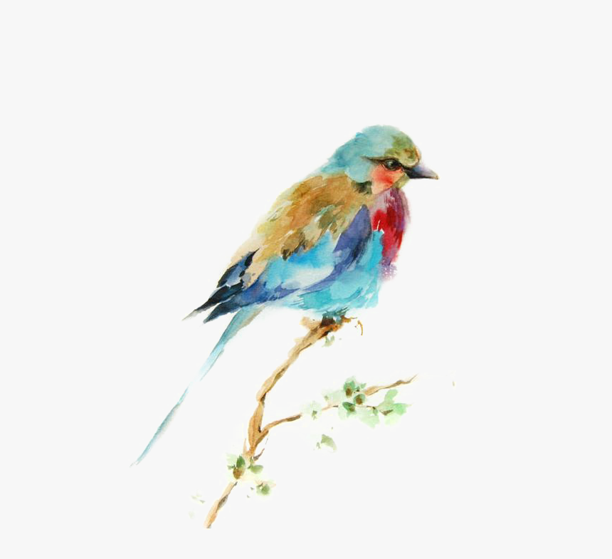Bird Watercolor Printmaking Drawing Painting Birds - Best Watercolor Paintings Of Bird, HD Png Download, Free Download
