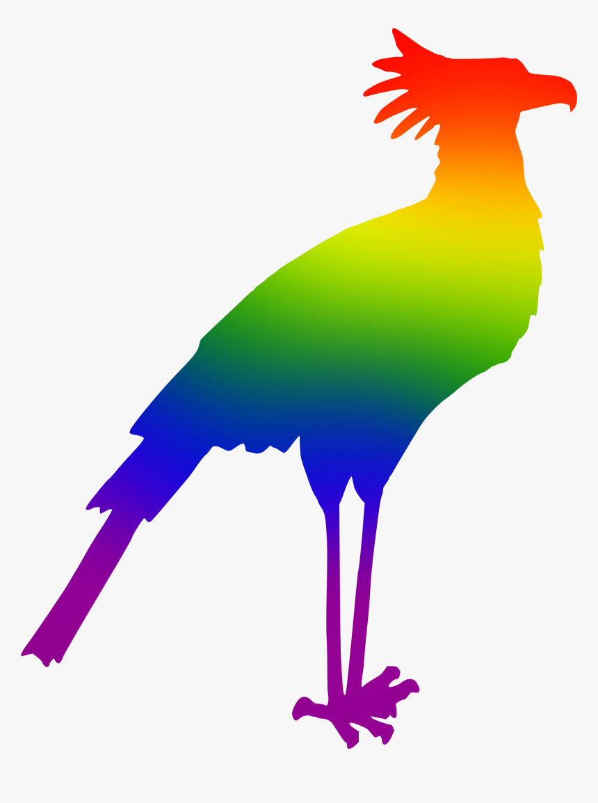 Bird Clipart Rainbow - Colourful Bird Silhouette Clipart, HD Png Download, Free Download