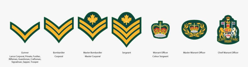 Canadian Army Cadet Ranks, HD Png Download, Free Download