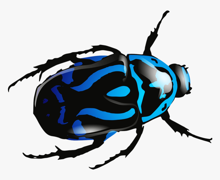 Blue Beetle Png Image - Blue Bug No Background, Transparent Png, Free Download