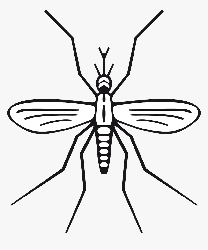 Mosquito Clip Art, HD Png Download, Free Download