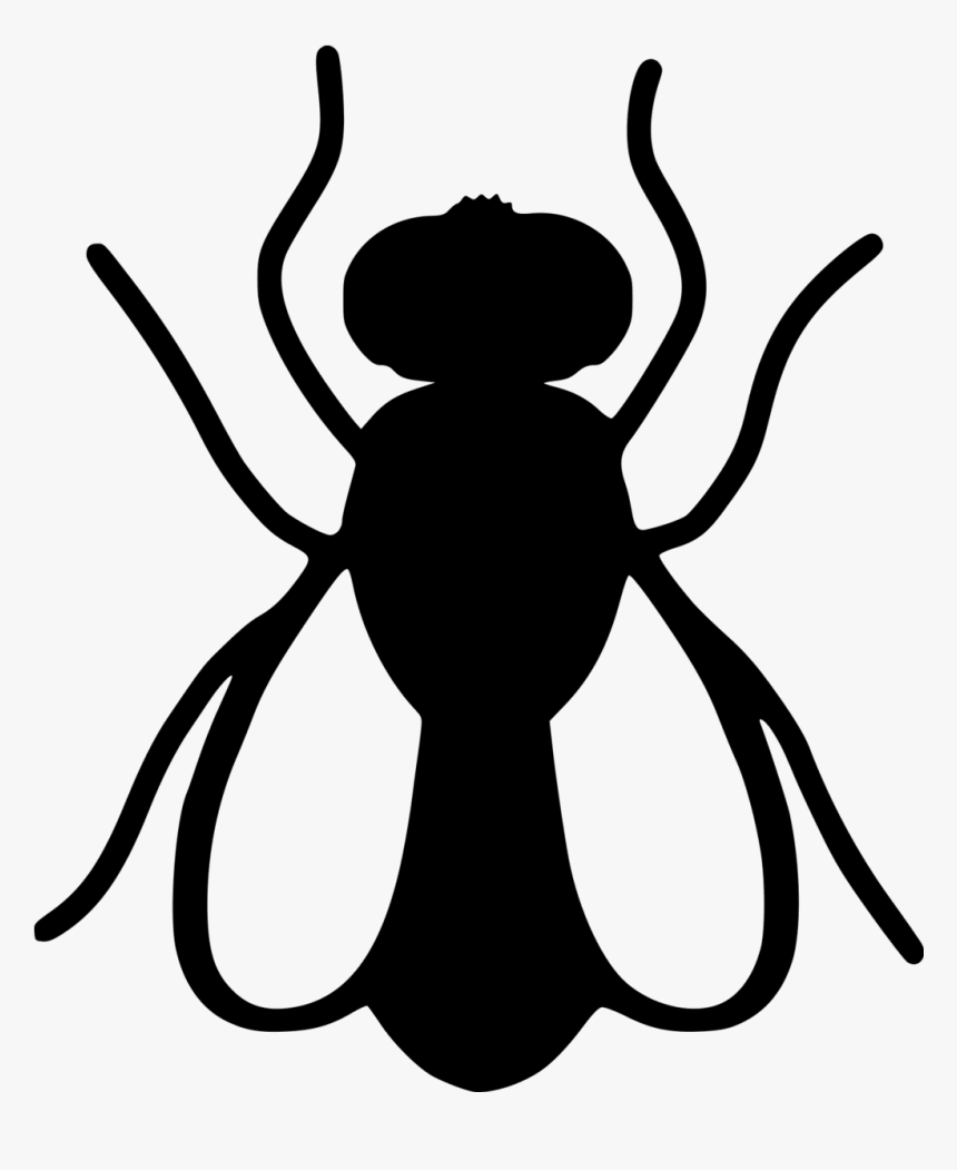 Mosquito Pest Control Cockroach Housefly - Flies Icon, HD Png Download, Free Download