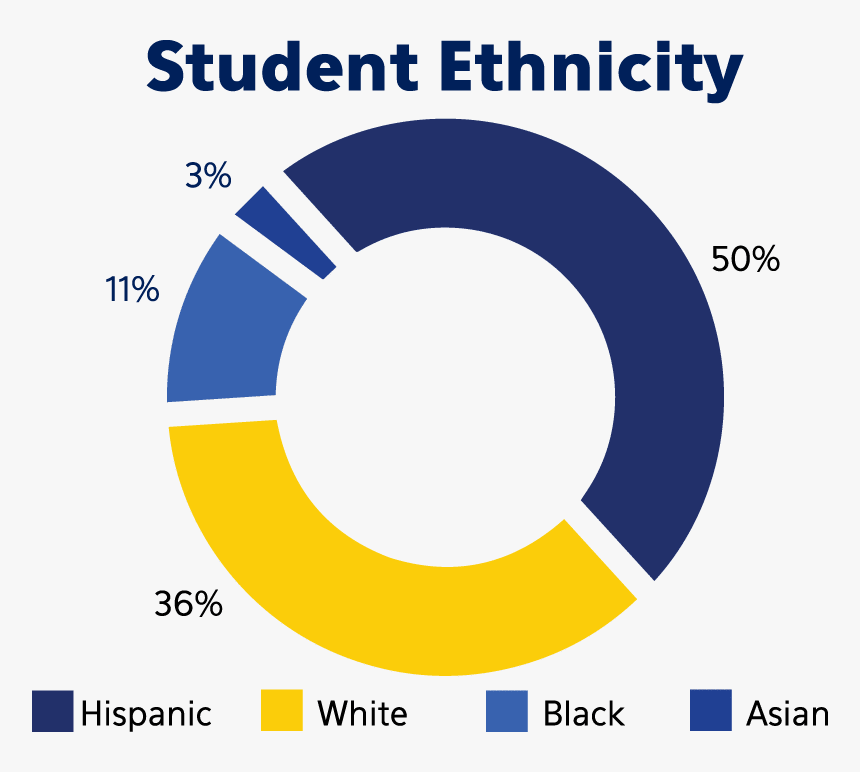 Transparent Demographics Png - Circle, Png Download, Free Download