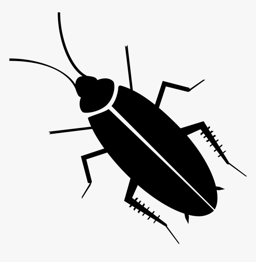 Black Cockroach Png, Transparent Png, Free Download